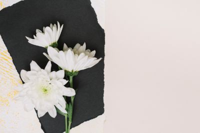 white-flowers-black-paper-sheet