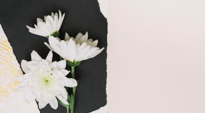 white-flowers-black-paper-sheet